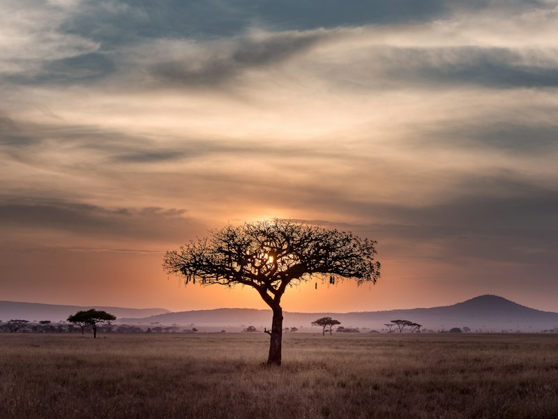 Mines cobalt RDC Kolwezi